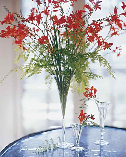 Fall-Blumen Arrangements, Martha Stewart