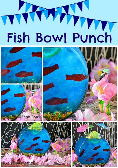 Fish Bowl Lochen