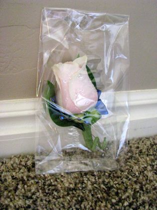 Floralshowers, Comment faire un Boutonnière Rose