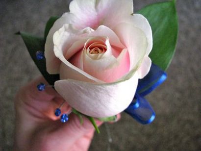 Floralshowers, Comment faire un Boutonnière Rose