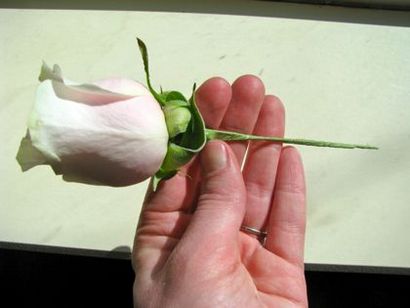 Floralshowers, Comment faire un Boutonnière Rose