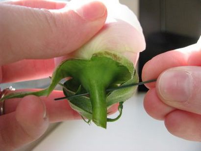 Floralshowers, Comment faire un Boutonnière Rose