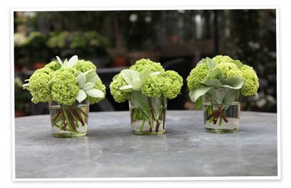 Florale par un vase, Goop (vase) Florale par Vase, Goop