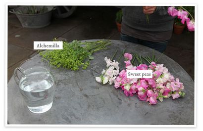 Florale par Vase, Goop (Goop) Florale par Vase, Goop