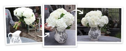 Florale par un vase, Goop (vase) Florale par Vase, Goop