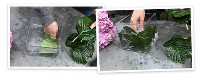Florale par Vase, Goop (arrangements floraux hortensias comment faire) Florale par Vase, Goop