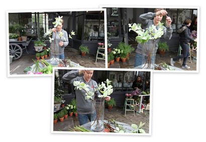 Florale par un vase, Goop (fleur) Florale par Vase, Goop