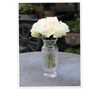 Florale par un vase, Goop (fleur) Florale par Vase, Goop