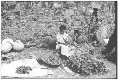 Alimentaire en Ethiopie - alimentaire éthiopienne, Ethiopian Cuisine - populaires, plats, recette, l'alimentation, l'histoire, (plats) Alimentaire en Ethiopie - alimentaire éthiopienne, Ethiopian Cuisine - populaire, plats, recette, l'alimentation, l'histoire,