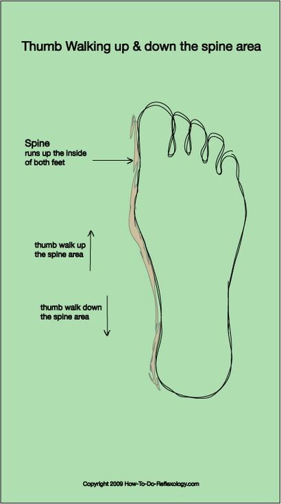 Réflexologie Plantaire complète comment techniques & amp; instructions étape par étape!