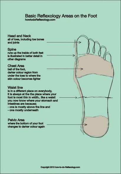 Fußreflexzonenmassage vervollständigen, wie man Techniken & amp; Schritt für Schritt Anleitung!