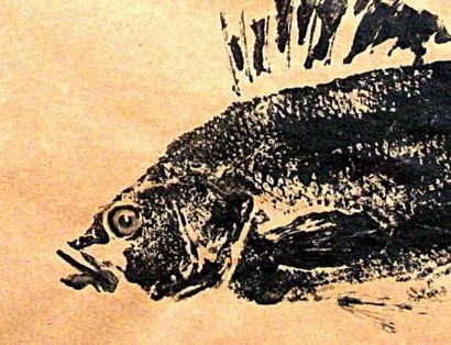 ART FISH GRATUIT LEÇON - gyotaku Poisson Rubbings - Art par Barry Singer