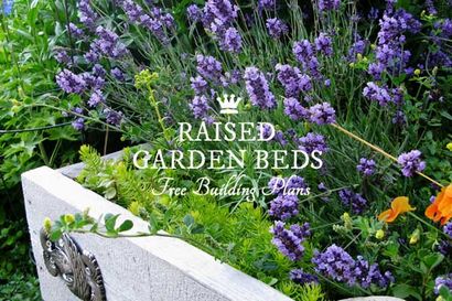 Plans gratuits pour Collectives Garden lits surélevés - Empress of Dirt