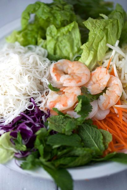 Rouleaux de printemps aux crevettes fraîches aux arachides Trempette, Jessica Gavin