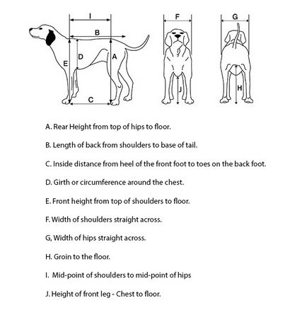 Support complet pour chien en fauteuil roulant par K9 Chariots - Fait aux Etats-Unis