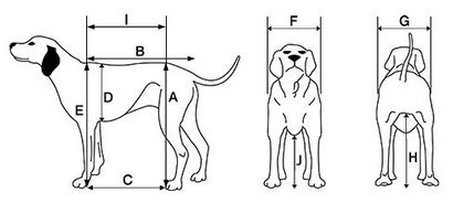 Support complet pour chien en fauteuil roulant par K9 Chariots - Fait aux Etats-Unis