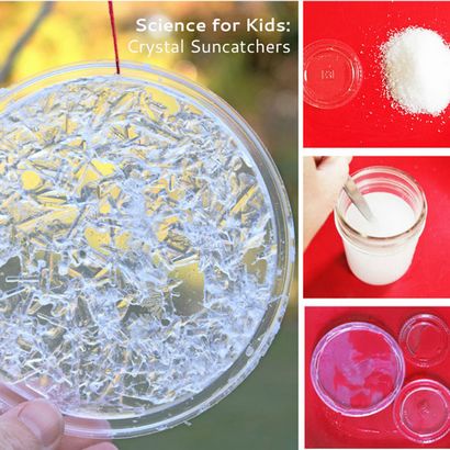 Fun Science Experiment Kristall Suncatchers - Babble Dabble Do