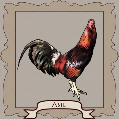 Gamefowl styles de combat! Atteindre illimité (illimité) Gamefowl styles de combat! atteindre illimité