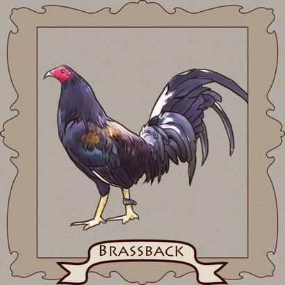Gamefowl styles de combat! Atteindre illimité (rupture élevée) Gamefowl styles de combat! atteindre illimité