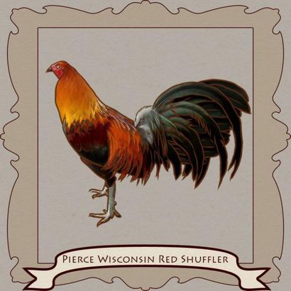 Gamefowl styles de combat! Atteindre illimités (capacités de tissage) Gamefowl styles de combat! atteindre illimité