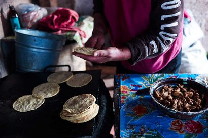 Gorditas Encarceladas par Tia Vicky