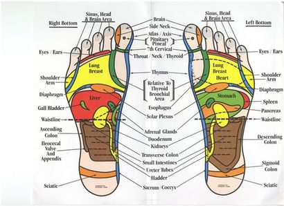 Grün-holisticlifestyle WIE SIE FOOT REFLEXOLOGY auf sich selbst lernen und Ihre Lieben