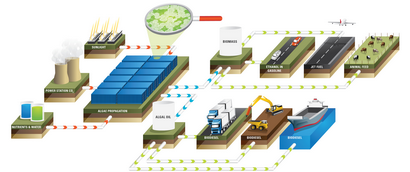 Développer l'énergie - Technologie de la production de la biomasse