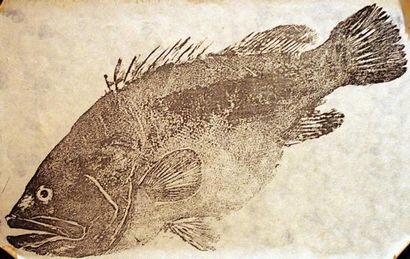 Gyotaku Une tradition japonaise unique dans lequel un poisson devient une œuvre d'art, des origines très anciennes