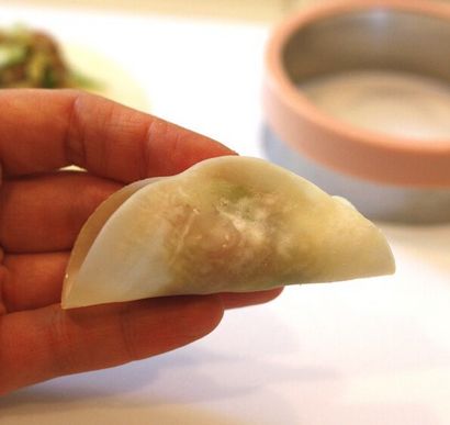 Recette gyoza (japonais Dumplings Poêlée)
