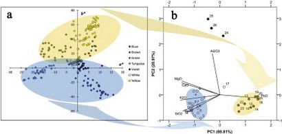 Haft a sonné ou cuerda seca spectroscopique approche à l'étude des tuiles polychromes de glaçure