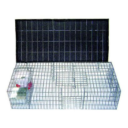Havahart Large 1-Tür-Live Animal Cage-Trap-1079 - The Home Depot