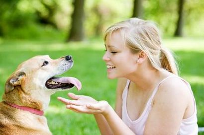 Santé maison nourriture pour chien Recettes, Comment faire votre propre nourriture pour chien, chien aliments crus