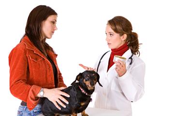 Santé maison nourriture pour chien Recettes, Comment faire votre propre nourriture pour chien, chien aliments crus (santé) Santé maison nourriture pour chien Recettes, Comment faire votre propre nourriture pour chien, chien aliments crus