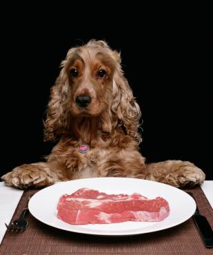 Santé maison nourriture pour chien Recettes, Comment faire votre propre nourriture pour chien, chien aliments crus