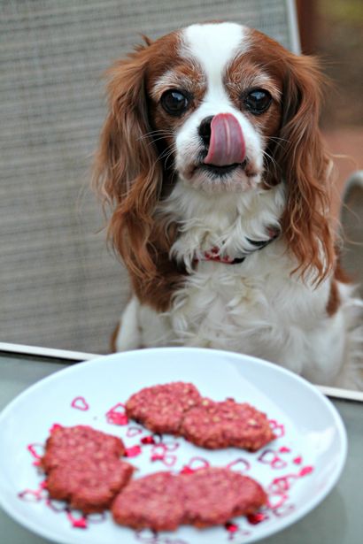 La farine d'avoine en forme de coeur de chien friandises (friandises) En forme de flocons d'avoine friandises pour chiens de coeur