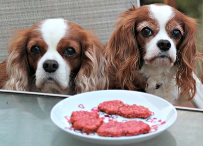 Coeur en forme de flocons d'avoine Gâteries pour chiens (en forme de coeur flocons d'avoine) En forme de flocons d'avoine friandises pour chiens de coeur