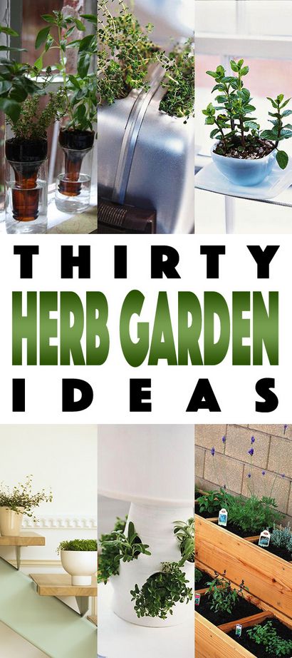 Jardins Herb 30 grands __gVirt_NP_NNS_NNPS<__ Idées Herb Garden - Le marché Cottage
