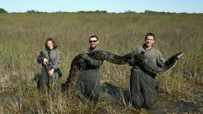 Ici - s Pourquoi les animaux exotiques Belong sauvage, Pas aussi - Animaux - dans nos Backyards, une planète verte