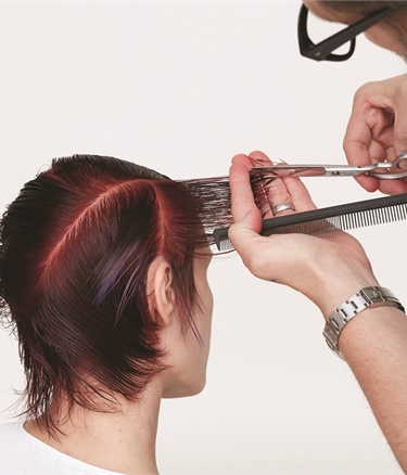 Des fêtes des Créer une couronne de fleurs de Noël Chignons - Carrière - Salon moderne