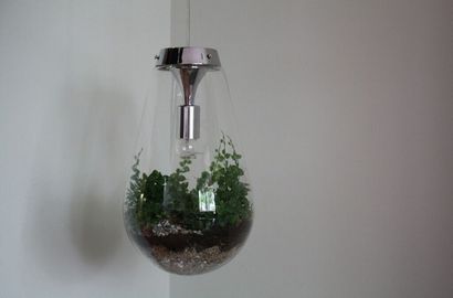 Décoration Image de Hanging Terrarium Décor pour l'extérieur - Apprenez à faire votre