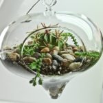 Décoration Image de Hanging Terrarium décor pour usage extérieur - Apprenez à faire votre (pendaison) Décoration Image de Hanging Terrarium Décor pour l'extérieur - Apprenez à faire votre