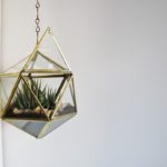 Décoration Image de Hanging Terrarium Décor pour l'extérieur - Apprenez à faire votre