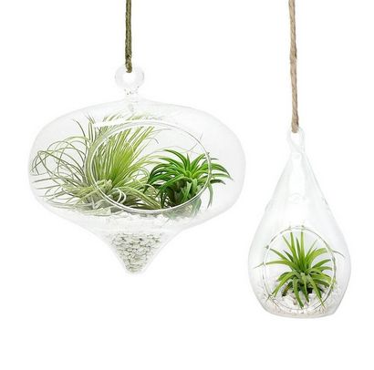 Décoration Image de Hanging Terrarium Décor pour l'extérieur - Apprenez à faire votre propre (mais ne pas avoir le temps de prendre soin d'un jardin ou vous ne disposez pas d'un pouce vert alors essayez de faire votre propre terrariums suspendu dans votre intérieur? l'espace. terrarium est un petit jardin frais) Décoration Image de Hanging Terrarium Décor pour l'extérieur - Apprenez à faire votre