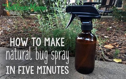 Selbst gemachte Bug Spray Rezepte, die funktionieren, Wellness Mama