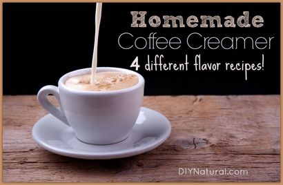 Maison café Creamer - Quatre recettes de saveur