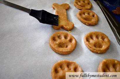 Homemade Dog Treats Paw- et des biscuits en forme d'os - étudiant à plein thym, Recettes pour les étudiants sur un
