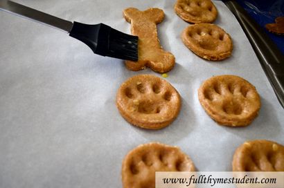 Selbst gemachte Hunde-Leckerli Tatze und Knochen-förmige Kekse - Voll Thymian Student, Rezepte für Studenten auf einem