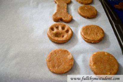 Homemade Dog Treats Paw- et des biscuits en forme d'os - étudiant à plein thym, Recettes pour les étudiants sur un