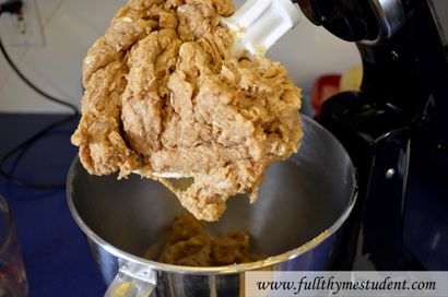 Selbst gemachte Hunde-Leckerli Tatze und Knochen-förmige Kekse - Voll Thymian Student, Rezepte für Studenten auf einem