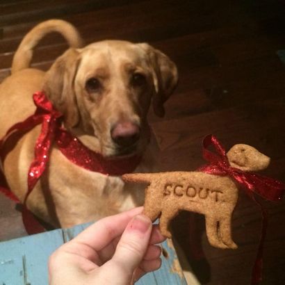 Homemade Dog Treats, beurre d'arachide - Le Cookie Rookie